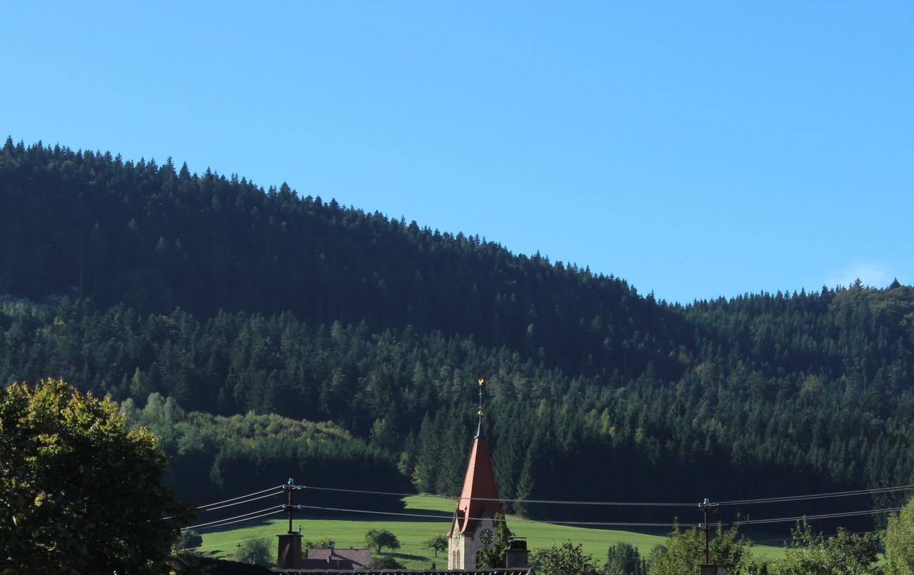 Hotel Heuberger Hof, Wehingen 외부 사진